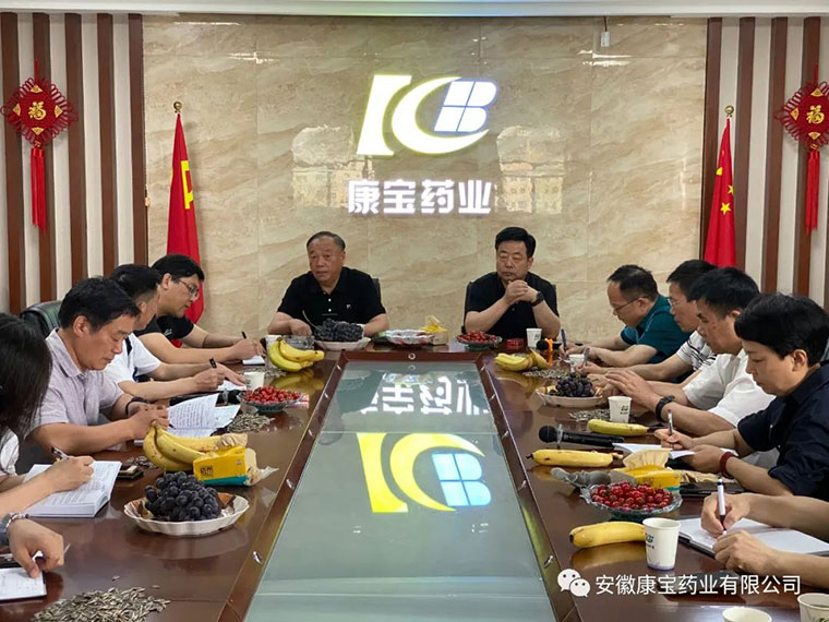 【康寶新聞】砥礪前行  協調發展--醫院集團藥械供需座談會在康寶藥業舉行